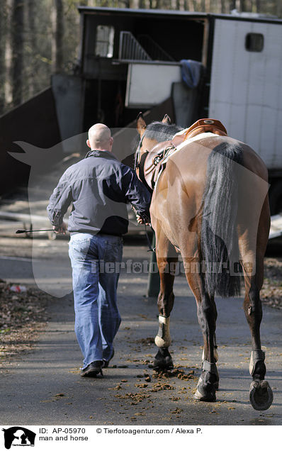 Pferd fhren / man and horse / AP-05970