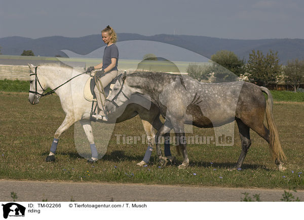 Handpferdreiten / riding / TM-02266