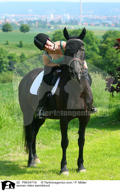 Frau reitet Warmblut / woman rides warmblood / PM-04719