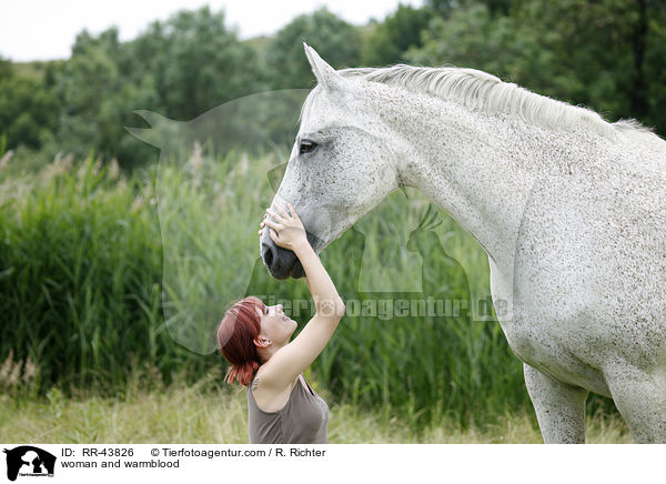 Frau und Warmblut / woman and warmblood / RR-43826