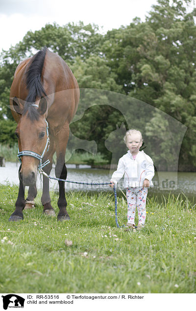 Kind und Warmblut / child and warmblood / RR-53516