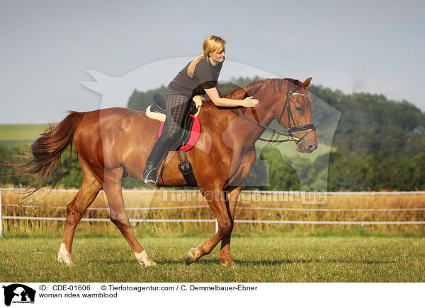 Frau reitet Warmblut / woman rides warmblood / CDE-01606