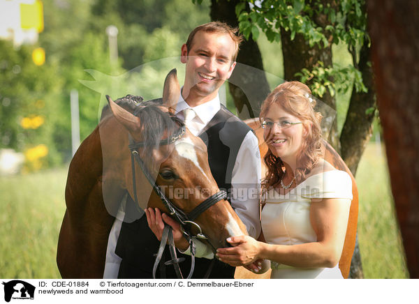 Brautpaar und Warmblut / newlyweds and warmbood / CDE-01884