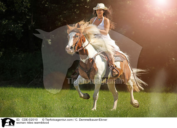 Frau reitet Warmblut / woman rides warmblood / CDE-02010