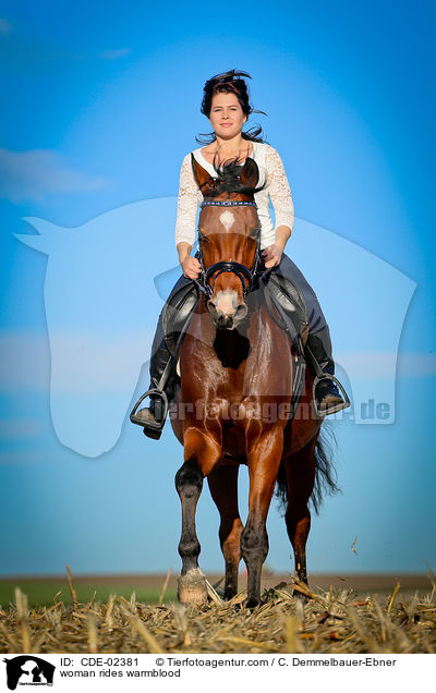 Frau reitet Warmblut / woman rides warmblood / CDE-02381