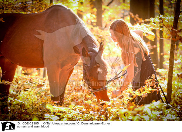 Frau und Warmblut / woman and warmblood / CDE-02385