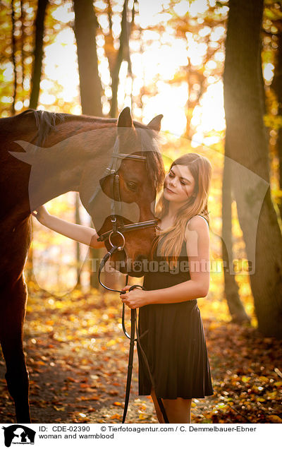 Frau und Warmblut / woman and warmblood / CDE-02390