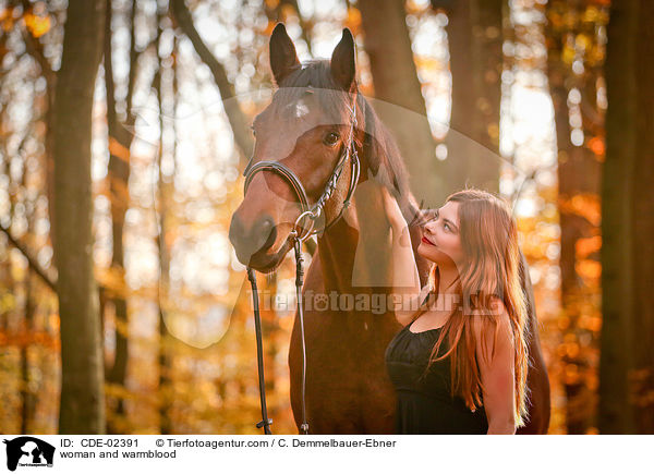 Frau und Warmblut / woman and warmblood / CDE-02391