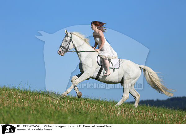 woman rides white horse / CDE-02459