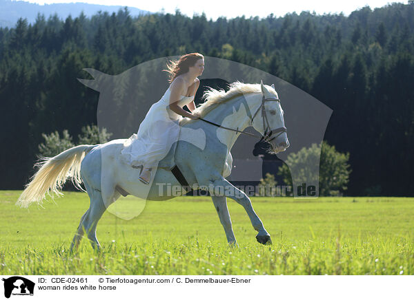 Frau reitet Schimmel / woman rides white horse / CDE-02461