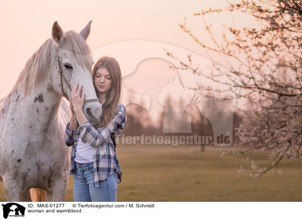 woman and warmblood / MAS-01277