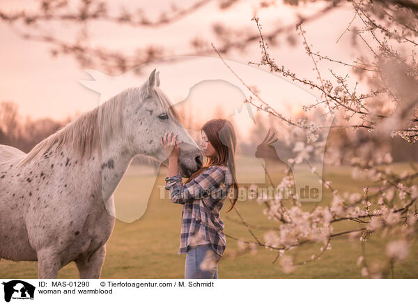 woman and warmblood / MAS-01290