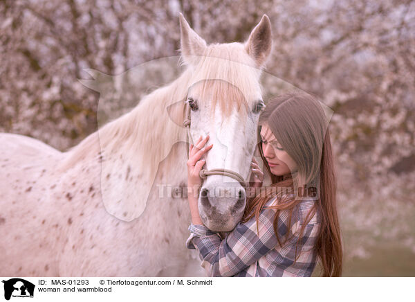 woman and warmblood / MAS-01293