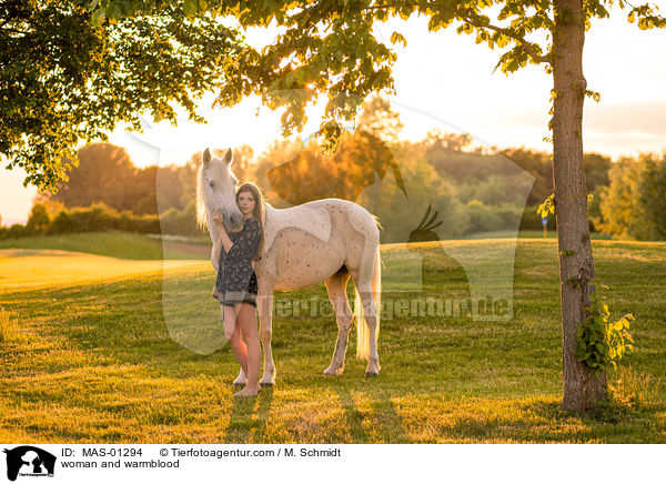 woman and warmblood / MAS-01294