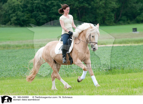 Frau reitet Warmblut / woman rides warmblood / NS-04680