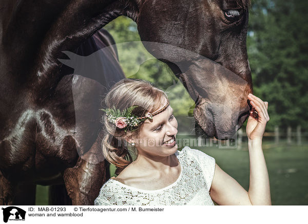 Frau und Warmblut / woman and warmblood / MAB-01293