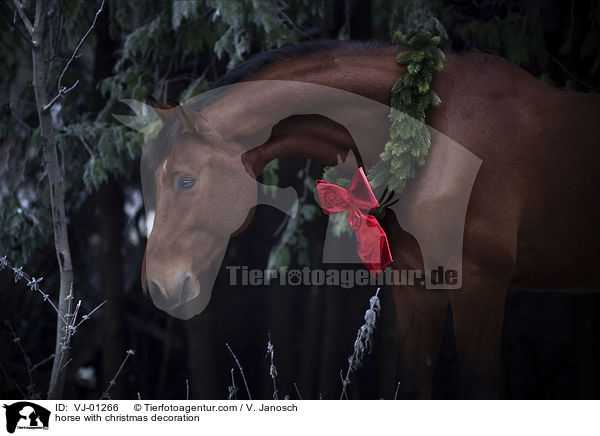 Pferd mit Weihnachtsdeko / horse with christmas decoration / VJ-01266