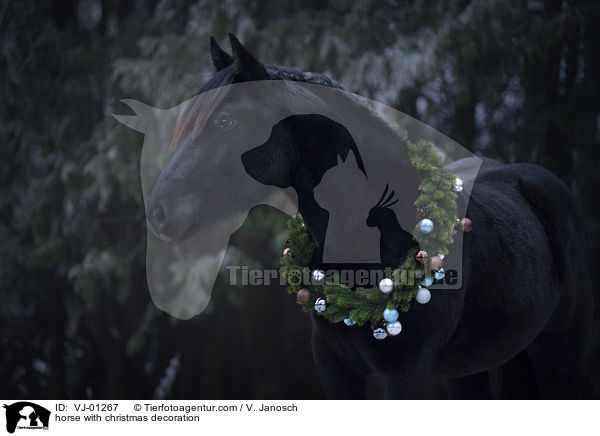 Pferd mit Weihnachtsdeko / horse with christmas decoration / VJ-01267