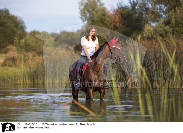 woman rides warmblood / LIB-01315