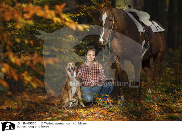Frau, Hund und Pferd / woman, dog and horse / JM-05560