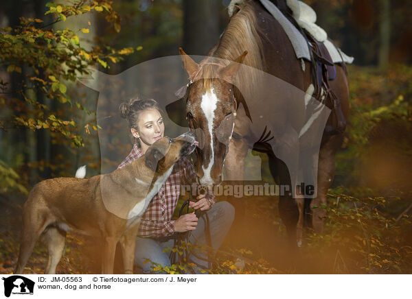 Frau, Hund und Pferd / woman, dog and horse / JM-05563