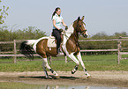 woman rides warmblood