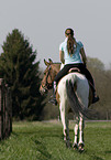 woman rides warmblood