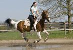 woman rides warmblood