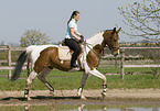 woman rides warmblood