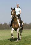 woman rides warmblood