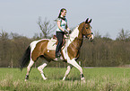 woman rides warmblood