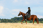 woman rides warmblood