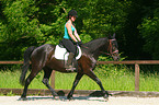 woman rides warmblood