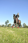 woman rides warmblood