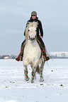 woman rides warmblood