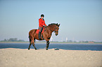 rider at the beach