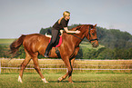 woman rides warmblood