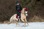 woman rides Welsh B