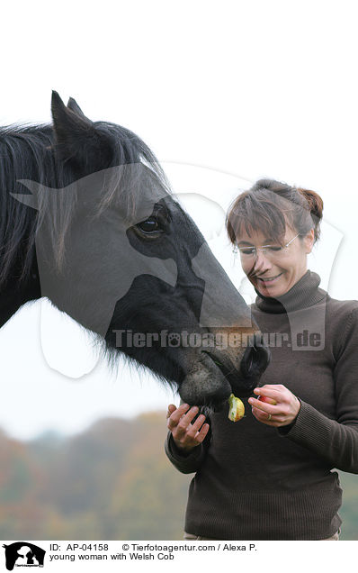 junge Frau mit Welsh Cob / young woman with Welsh Cob / AP-04158