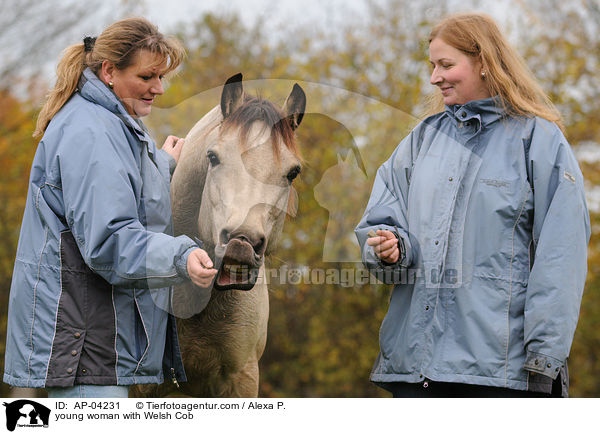 junge Frau mit Welsh Cob / young woman with Welsh Cob / AP-04231