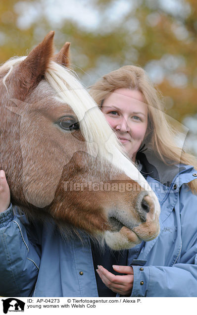junge Frau mit Welsh Cob / young woman with Welsh Cob / AP-04273