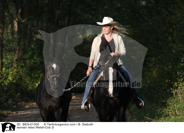 Frau reitet Welsh-Cob D / woman rides Welsh-Cob D / BES-01300