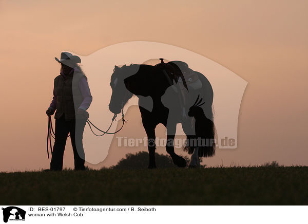 Frau mit Welsh-Cob / woman with Welsh-Cob / BES-01797