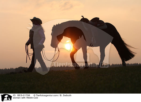 Frau mit Welsh-Cob / woman with Welsh-Cob / BES-01798