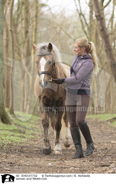 woman and Welsh-Cob / EHO-01732