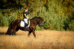 young woman with Welsh Cob