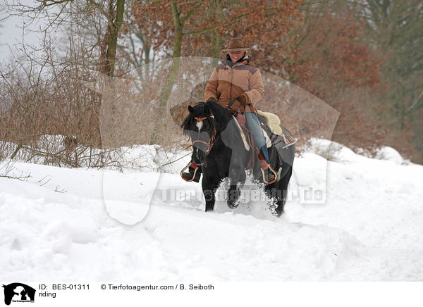 Westernreiten / riding / BES-01311