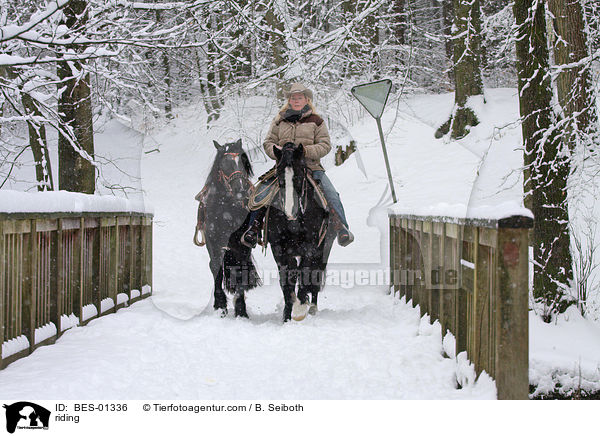 Westernreiten / riding / BES-01336