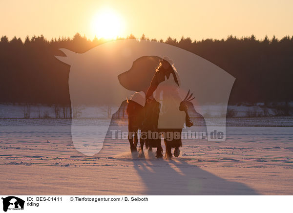 Westernreiten / riding / BES-01411