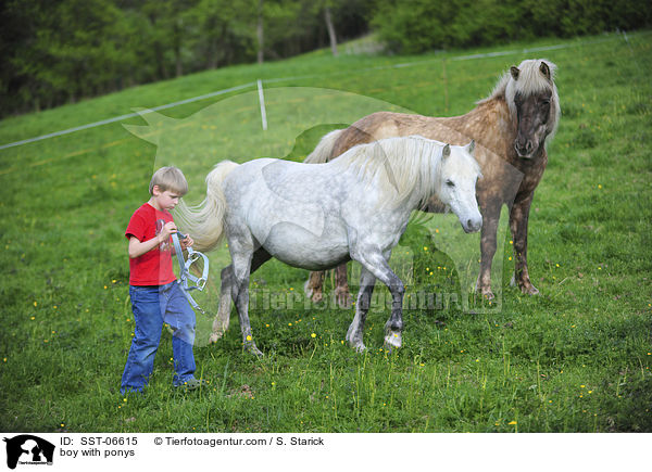 boy with ponys / SST-06615